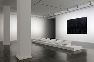 Museum of Contemporary Art Australia, Installation view: Nicole Wong, 21st Biennale of Sydney, Museum of Contemporary Art Australia, Sydney (16 March–11 June 2018). Courtesy the artist and Rossi & Rossi, Hong Kong and London. Photo: Document Photography. 